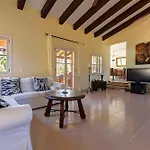 Pura Vida